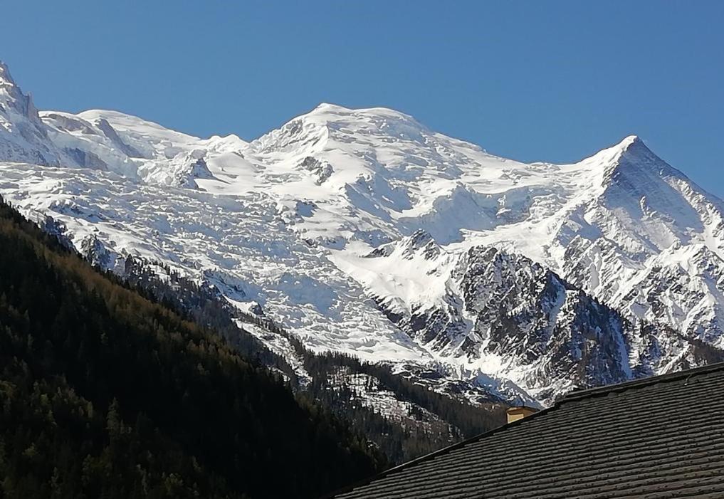 Studio With Balcony, Mt Blanc View, Parking, Center Of 샤모니 외부 사진